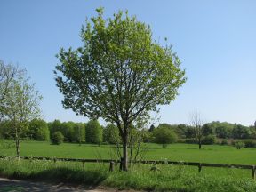 Greenwich Meridian Marker; England; Hertfordshire; Near Buntingford